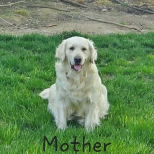 mom
